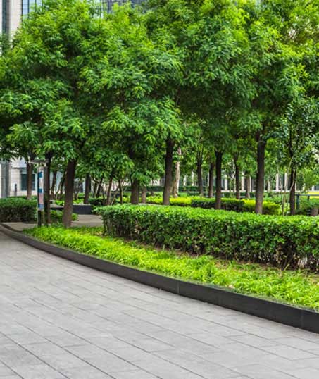 Mears Landcare Group, LLC Commercial Grounds Maintenance