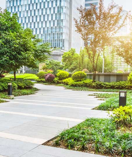 Mears Landcare Group, LLC Commercial Landscaping