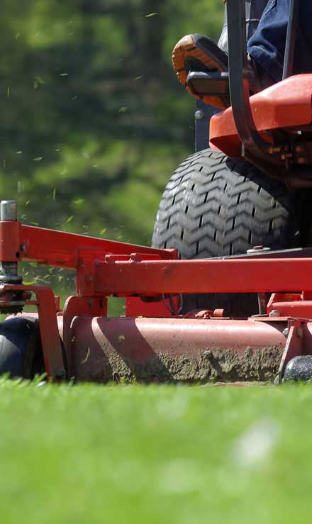 Mears Landcare Group, LLC Commercial Lawn Mowing