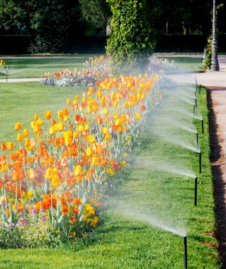 Mears Landcare Group, LLC Sprinkler Blowout
