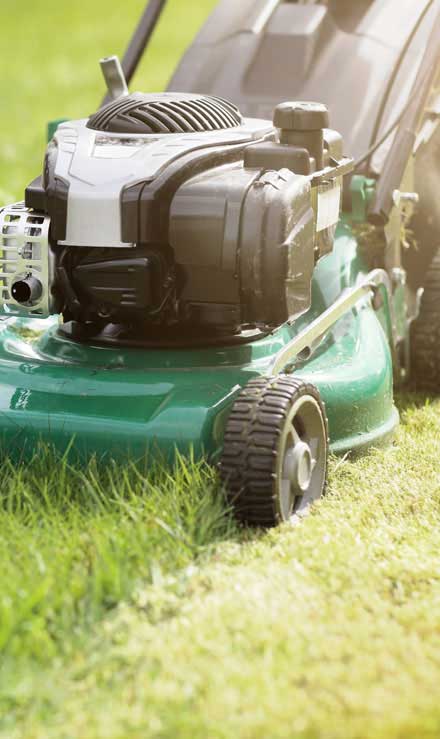 Mears Landcare Group, LLC Residential Lawn Mowing